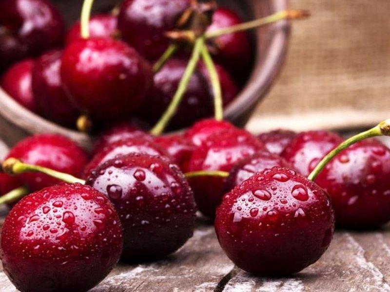 Вишня купить саженцы из питомника в Асбесте